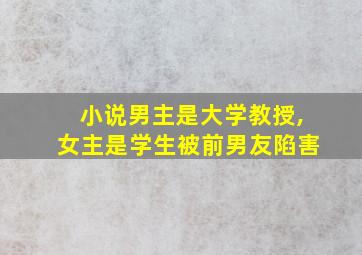 小说男主是大学教授,女主是学生被前男友陷害