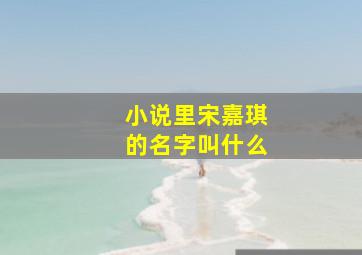 小说里宋嘉琪的名字叫什么