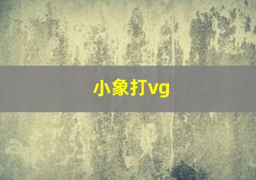 小象打vg