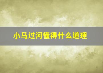 小马过河懂得什么道理