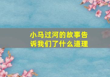 小马过河的故事告诉我们了什么道理