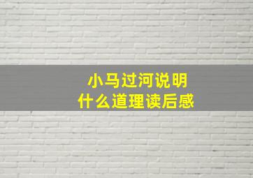 小马过河说明什么道理读后感