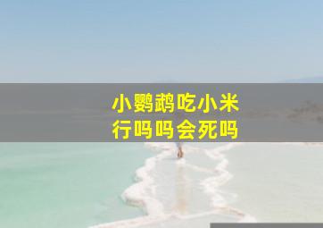 小鹦鹉吃小米行吗吗会死吗