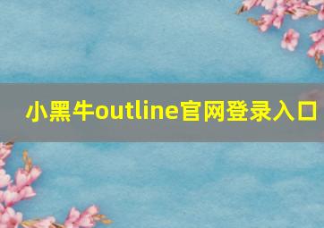 小黑牛outline官网登录入口