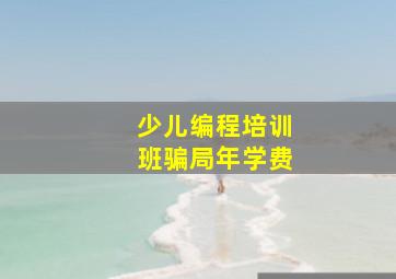 少儿编程培训班骗局年学费