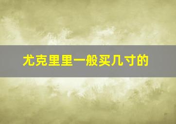 尤克里里一般买几寸的