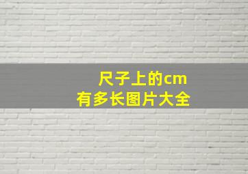 尺子上的cm有多长图片大全