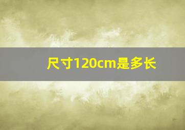 尺寸120cm是多长