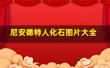 尼安德特人化石图片大全