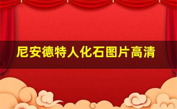 尼安德特人化石图片高清