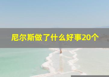 尼尔斯做了什么好事20个