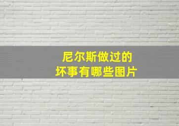 尼尔斯做过的坏事有哪些图片