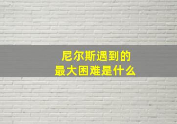 尼尔斯遇到的最大困难是什么