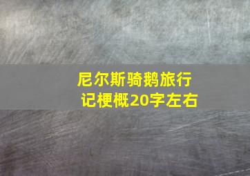 尼尔斯骑鹅旅行记梗概20字左右