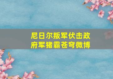 尼日尔叛军伏击政府军猪霸苍穹微博