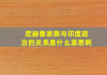 尼赫鲁家族与印度政治的关系是什么意思啊