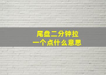 尾盘二分钟拉一个点什么意思