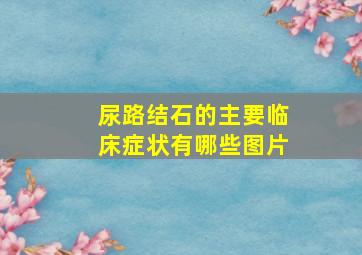 尿路结石的主要临床症状有哪些图片