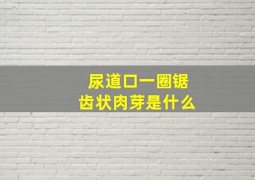 尿道口一圈锯齿状肉芽是什么