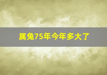 属兔75年今年多大了