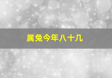 属兔今年八十几