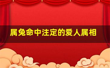 属兔命中注定的爱人属相