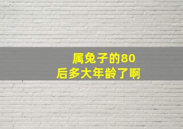 属兔子的80后多大年龄了啊