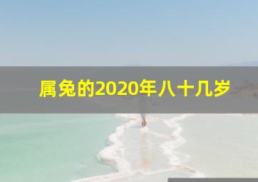 属兔的2020年八十几岁