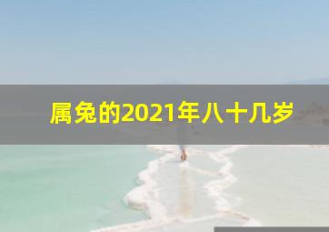 属兔的2021年八十几岁