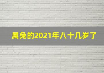 属兔的2021年八十几岁了