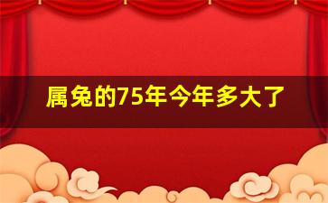 属兔的75年今年多大了