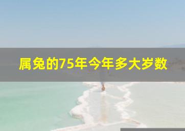 属兔的75年今年多大岁数