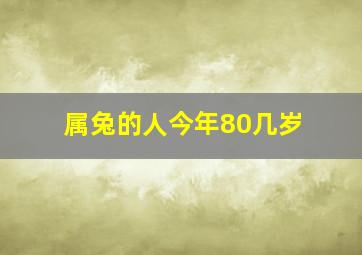 属兔的人今年80几岁