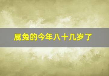 属兔的今年八十几岁了