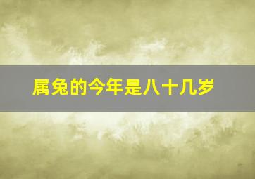 属兔的今年是八十几岁