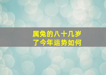 属兔的八十几岁了今年运势如何