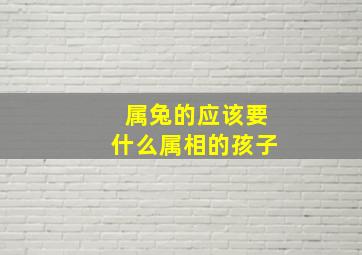 属兔的应该要什么属相的孩子