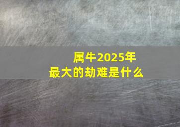 属牛2025年最大的劫难是什么