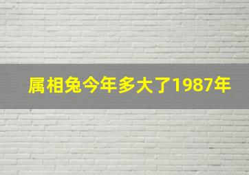 属相兔今年多大了1987年