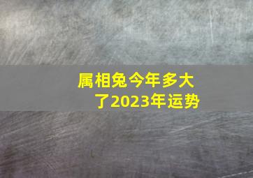 属相兔今年多大了2023年运势