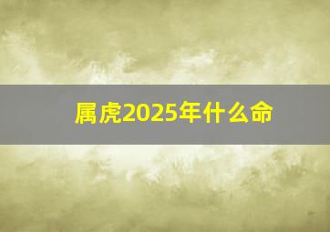 属虎2025年什么命