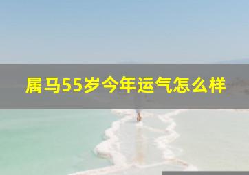 属马55岁今年运气怎么样