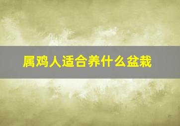 属鸡人适合养什么盆栽