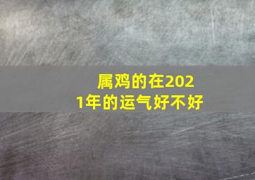 属鸡的在2021年的运气好不好