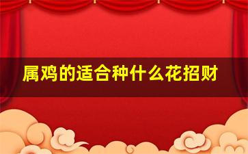 属鸡的适合种什么花招财