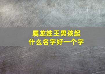 属龙姓王男孩起什么名字好一个字