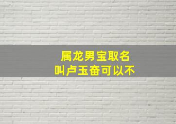 属龙男宝取名叫卢玉奋可以不