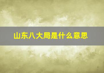 山东八大局是什么意思