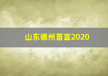 山东德州首富2020