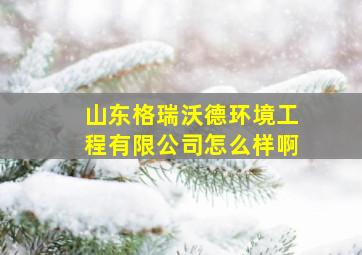 山东格瑞沃德环境工程有限公司怎么样啊